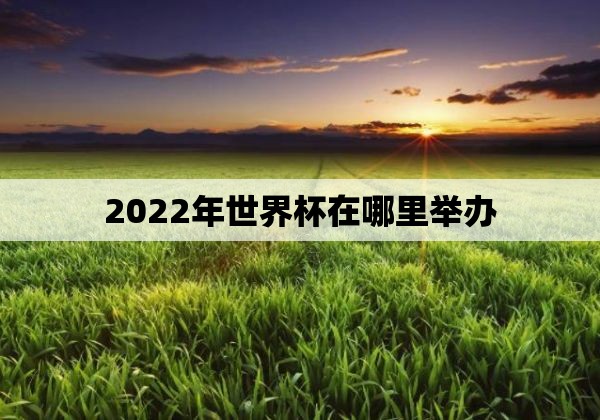 2022年世界杯在哪里举办