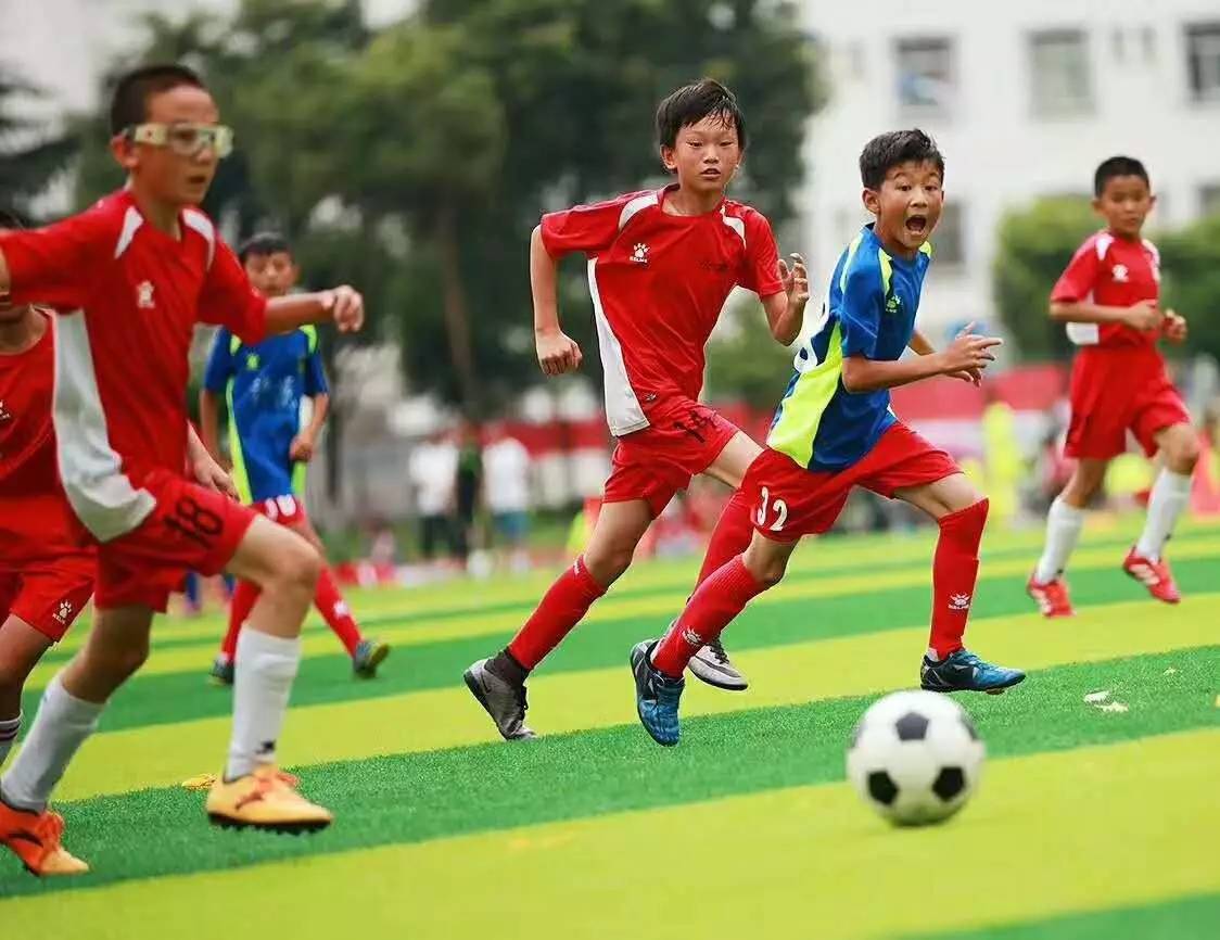 海港、泰山、浙江以及蓉城的外援配置都不错